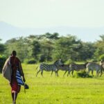 Which Tanzania Safari is Best
