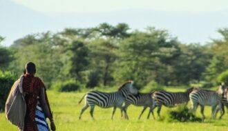 Which Tanzania Safari is Best