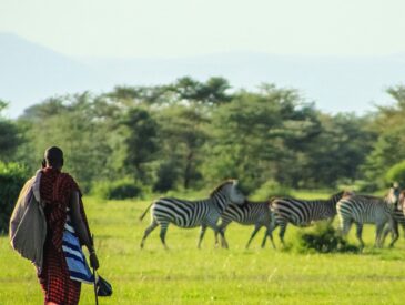 best Tanzania safari