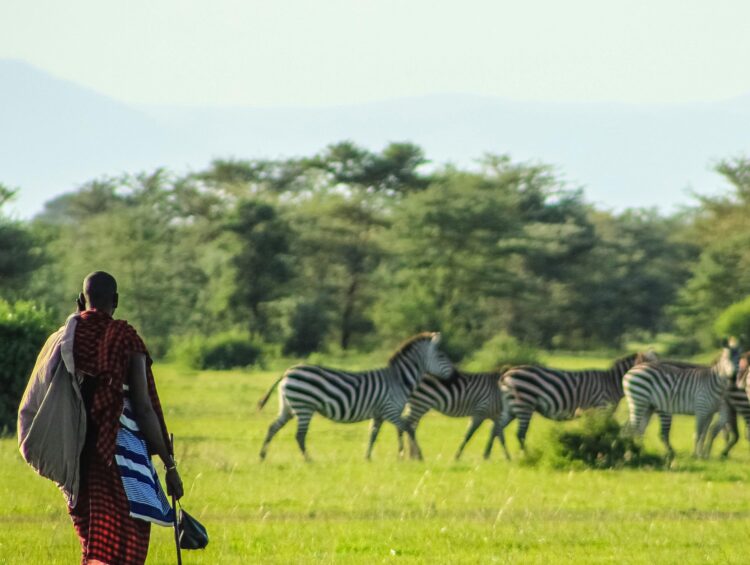 best Tanzania safari