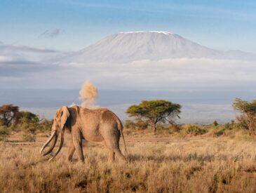 best time to visit tanzania