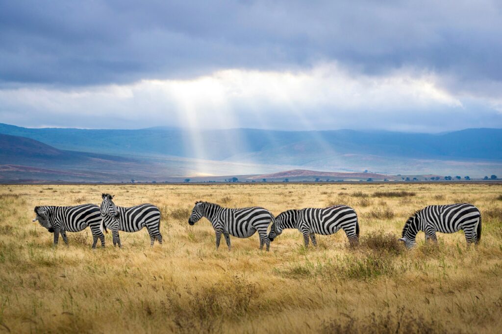 which tanzania safari is best
