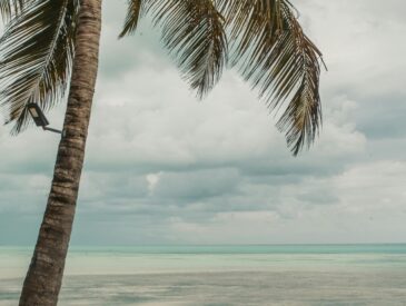 questions about visiting Tanzania