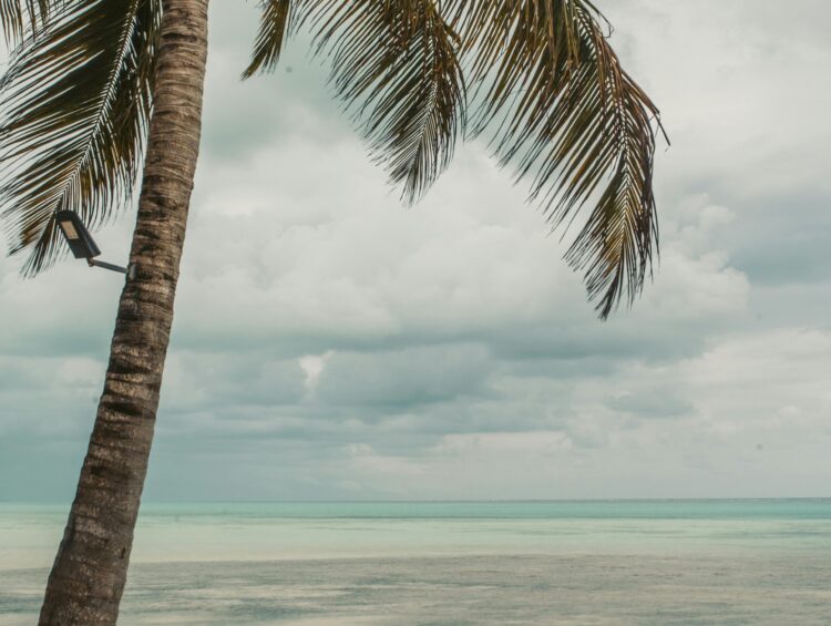 questions about visiting Tanzania