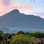 things to do in tanzania