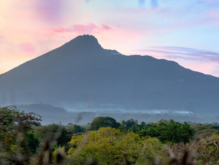 things to do in tanzania