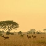 best time to visit tanzania