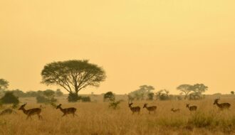 best time to visit tanzania