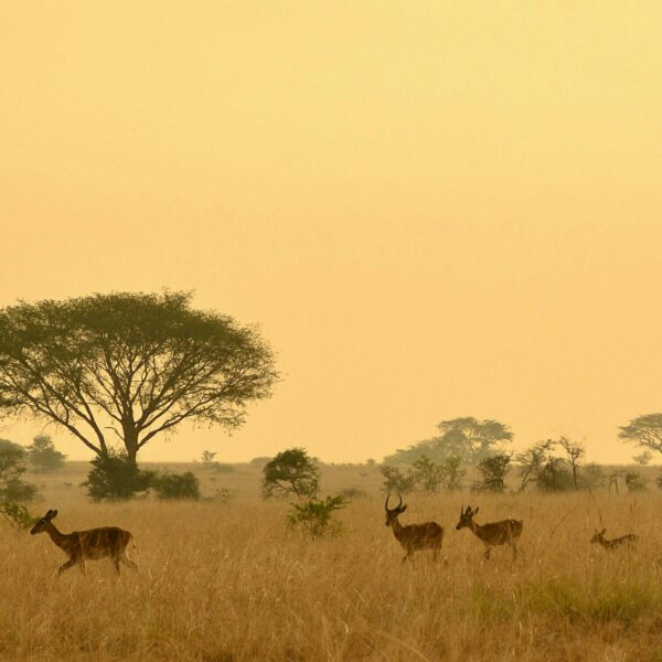 best time to visit tanzania