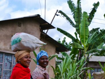 Discover the best activities around Moshi, Tanzania - from Kilimanjaro hikes and waterfall tours to coffee tastings, markets, and more.