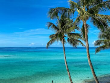 tanzania's best beaches beyond zanzibar