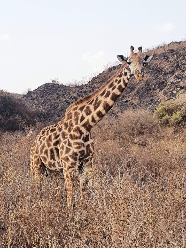 things to do in Arusha