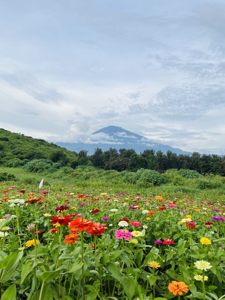 things to do in Arusha
