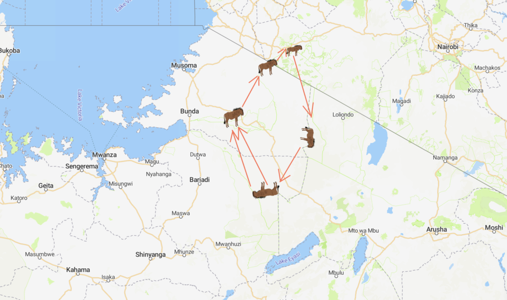 Great migration in Tanzania