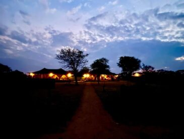 Luxury Tanzania safari accommodation in the Serengeti