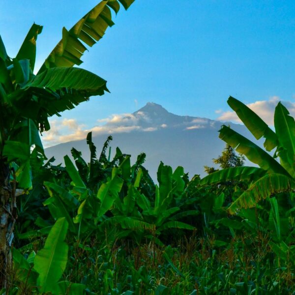 Arusha