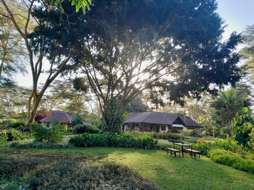Where to eat in Arusha