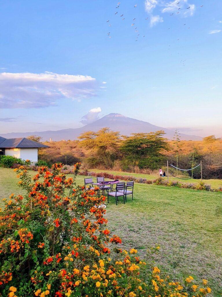 Where to eat in Arusha