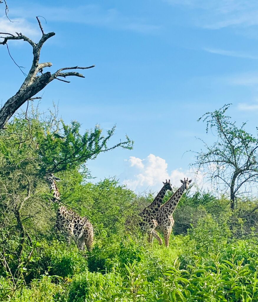Arusha